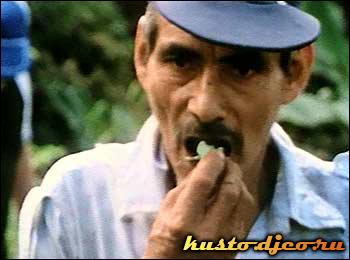 1000504239 (350x260, 67 kБ...)